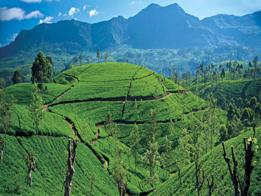 New Tour Inn Nuwara Eliya Bagian luar foto